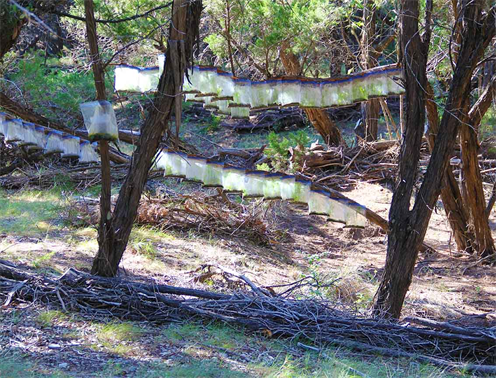 Austin Texas Landscaping Art