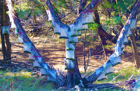 Land Art? Austin Texas Artist