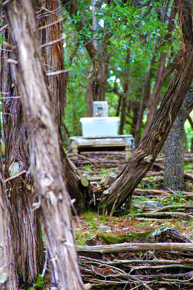 Self-Sustained Agriculture, 
DAPACU invention to Reforest The Planet
In the photo: 2020 Works.Forest in a Box, Can have Hundreds of Trees per Box!